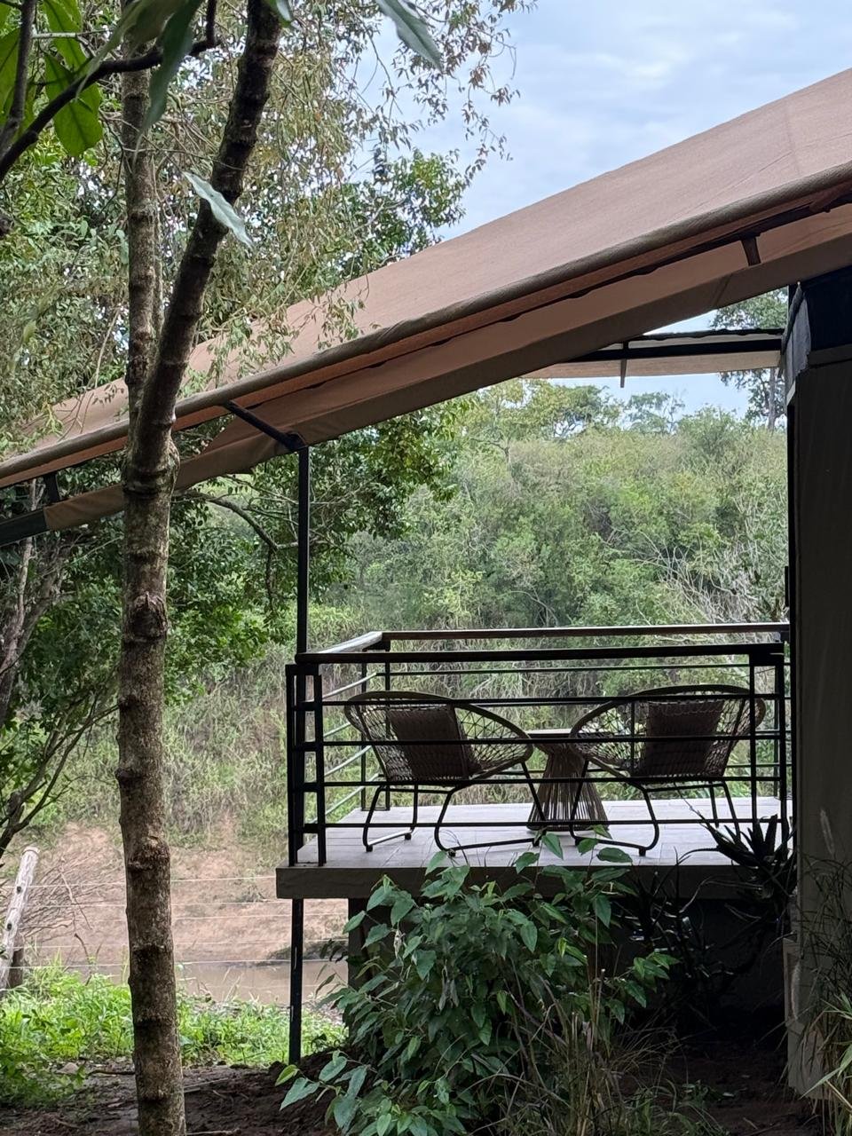 Surana Mara Camp